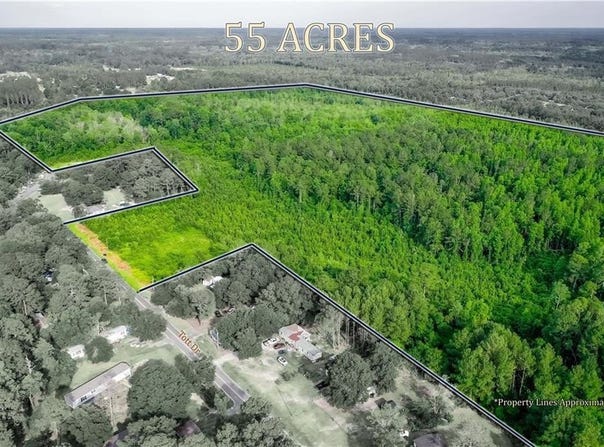 Tot Drive, Blackshear, GA 31516