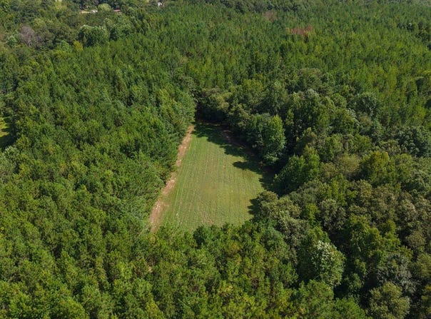 Provitt Road, Grady, AL 36036
