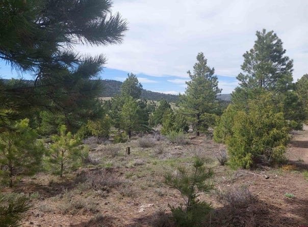 01195 Rito Hondo Rd, Antonito, CO 81120