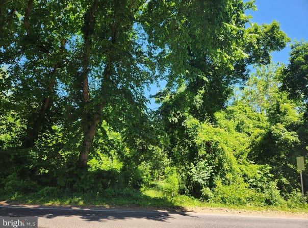10 & 6 CARTER Road, PRINCETON, NJ 08540