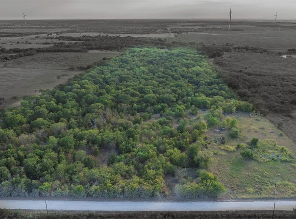 295 Hcr 3240, Mount Calm, TX 76673