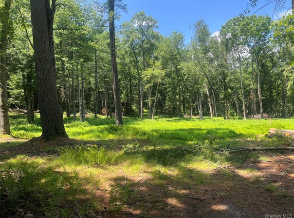 Geba Drive, Glen Spey, NY 12737