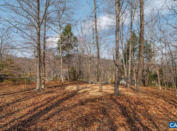 168 CEDAR GLEN CLOSE, NELLYSFORD, VA 22958