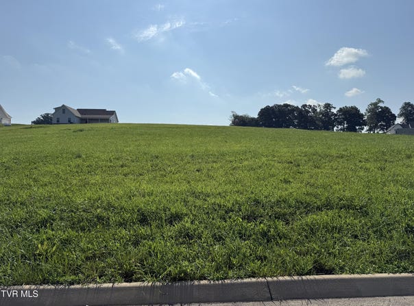 Uncle Buddy'S Way lot: 50, Jonesborough, TN 37659