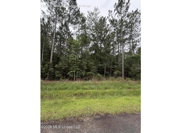 7065 George Street, Bay Saint Louis, MS 39520
