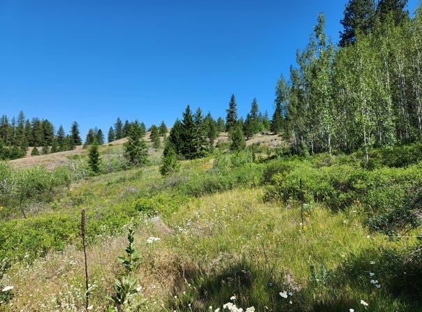 18 ROBIN Rd, REPUBLIC, WA 99166