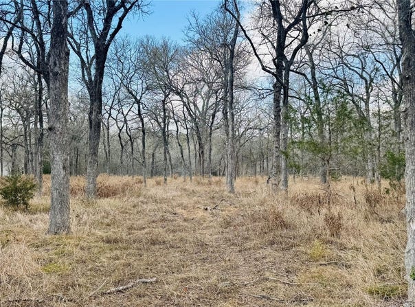 208 Sendero Blvd, Cedar Creek, TX 78612