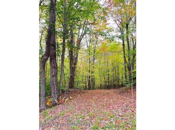 Alpine Drive, Bovina, NY 13740