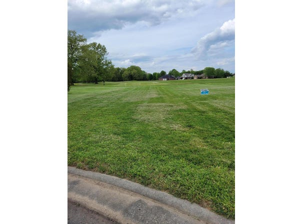 Doral Court lot: 11, Ledbetter, KY 42058