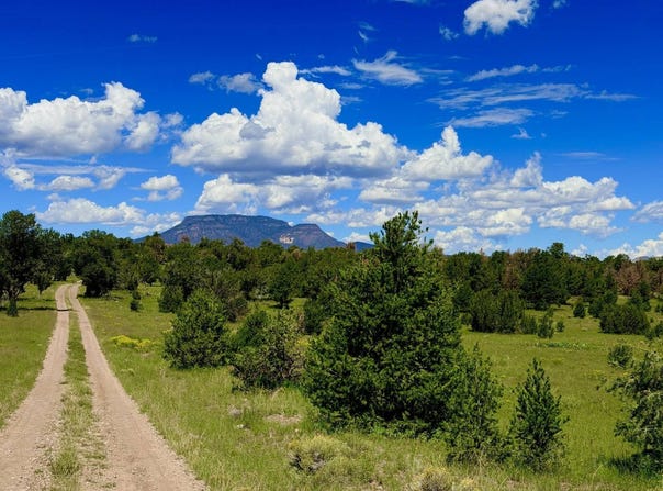 / Barrego Drive, Datil, NM 87821