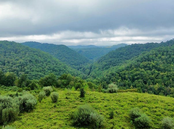 9074 Middle Fork Wolf Creek Road, Pilgrim, KY 41250