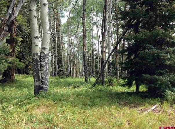200 Crest Drive, Cimarron, CO 81220
