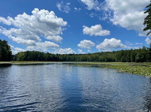 Eldred, NY 12732