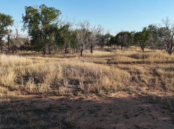 C R 5400, Lubbock, TX 79415
