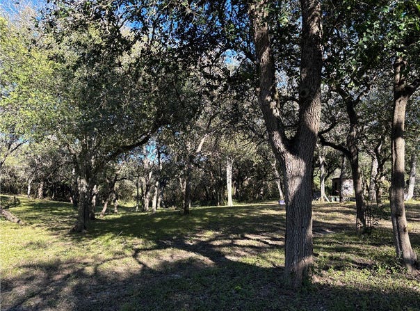 2168 River Oaks, Skidmore, TX 78389