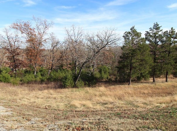 199 Forest Lake Drive, Branson West, MO 65737