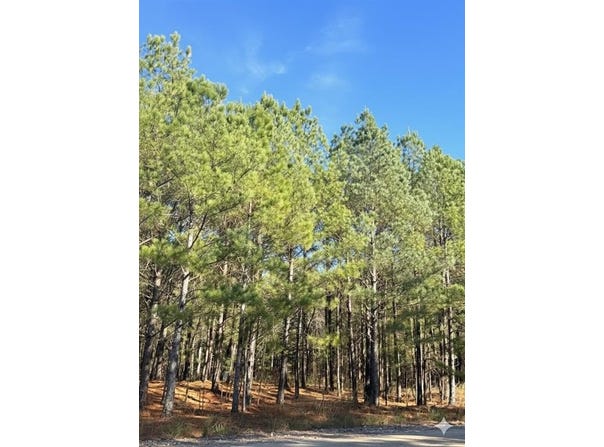 32 Dawnview Way Trail, Broken Bow, OK 74728