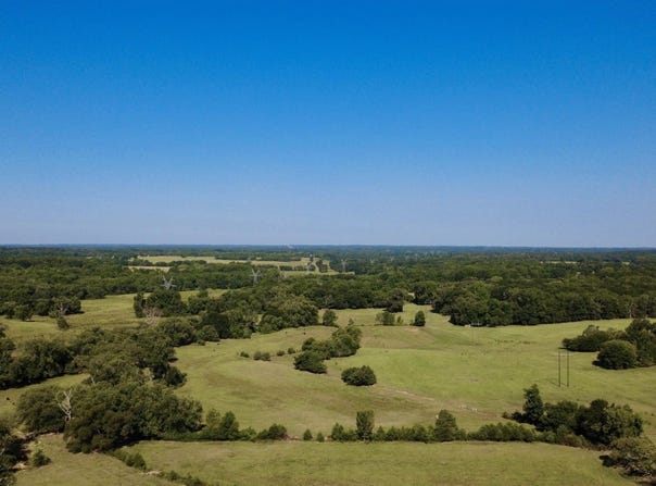CR 246, Arp, TX 75750