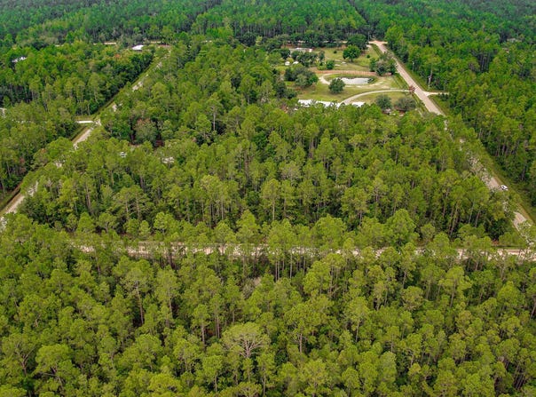 10705 DILLON AVE, HASTINGS, FL 32145