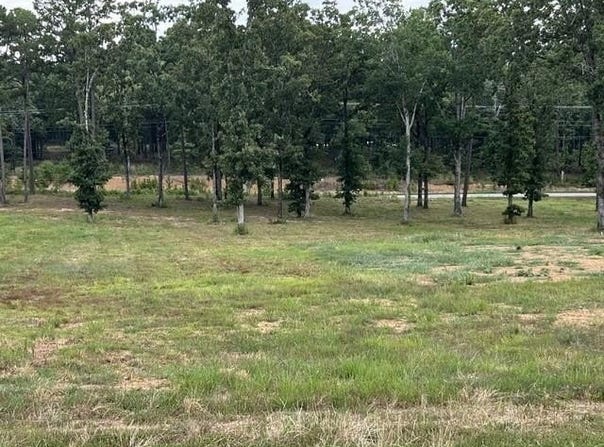 Orchard View Drive, Conway, AR 72034