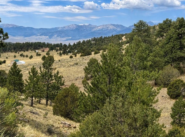 1054 Keepsake Lp, Westcliffe, CO 81252