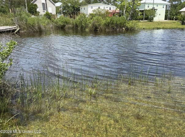 Dolphin Street lot: 20, Bay Saint Louis, MS 39520