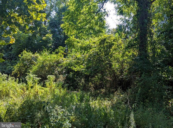 OAKLEY Drive, BUSHWOOD, MD 20618