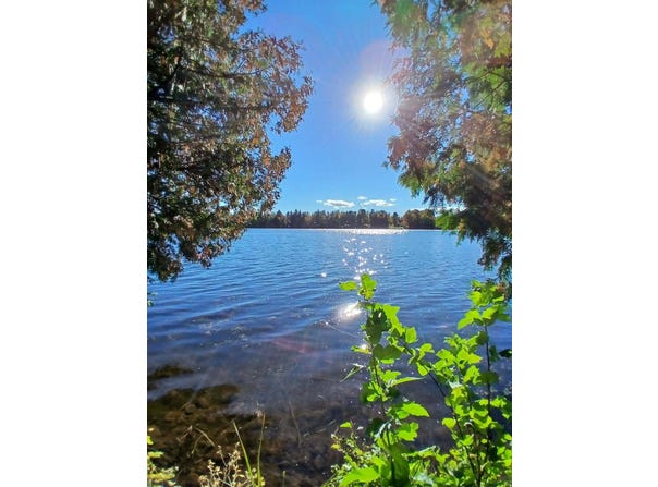 2625 River Bluff Drive, Alpena, MI 49707
