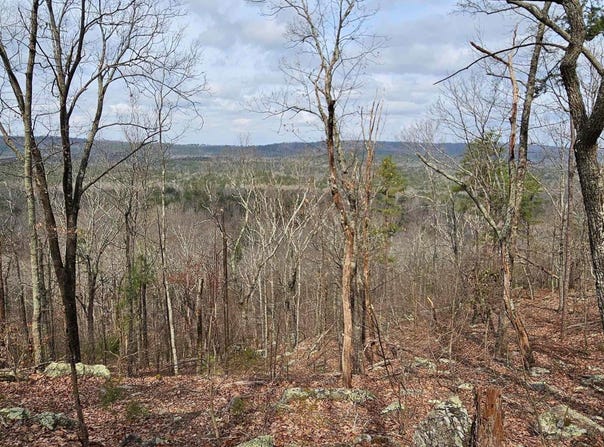 438 STONEGATE DRIVE lot: 64 & 63, BIRMINGHAM, AL 35242