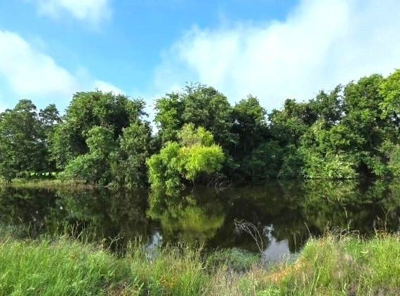 George Wachel Rd., Bremond, TX 76629