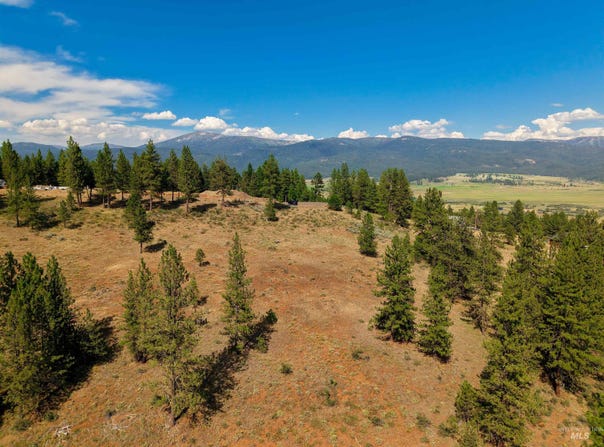 Eagle Feather Road, New Meadows, ID 83654