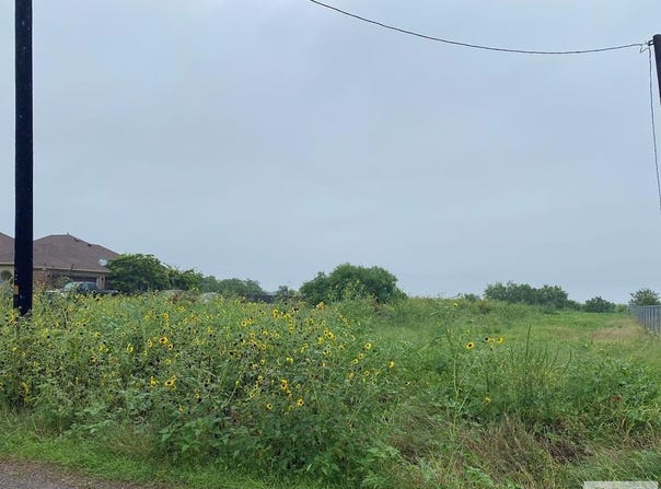 28339 GLENVIEW RD, RIO HONDO, TX 78583