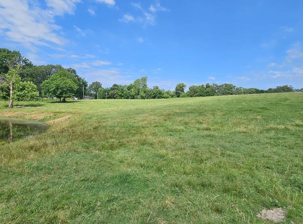 14 Acres State Highway F, Anderson, MO 64831