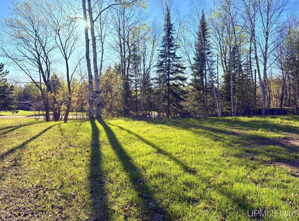 159 Kreiger Drive, Skandia, MI 49885