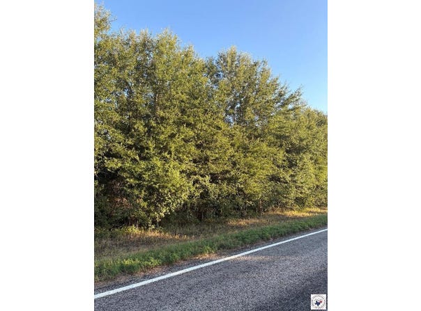 TRACT 16 HWY 990, Simms, TX 75574