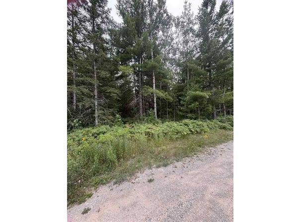 871 Zipf Street, Pellston, MI 49769