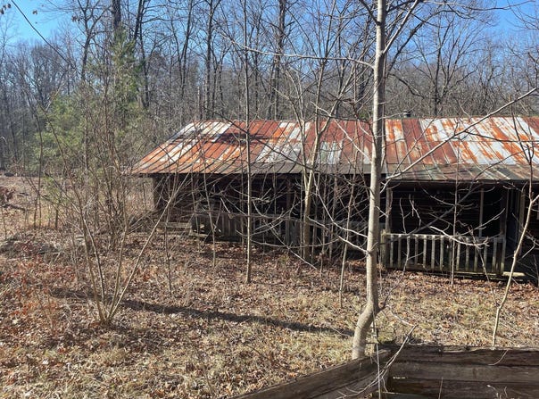 1015 Singleton Road, Wellington, KY 40387