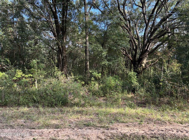 DEBRA Circle, Interlachen, FL 32148