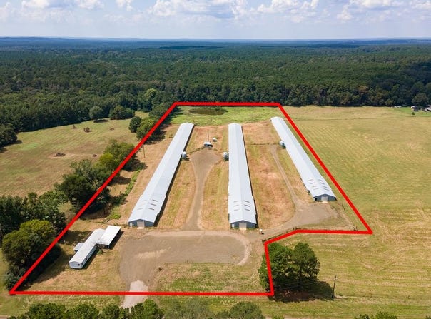 4442 FM 1992, San Augustine, TX 75972