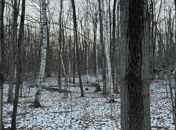 Orchard View Ln, Brussels, WI 54204