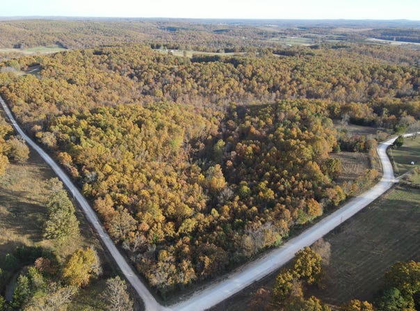 King Road, Mountain Grove, MO 65711