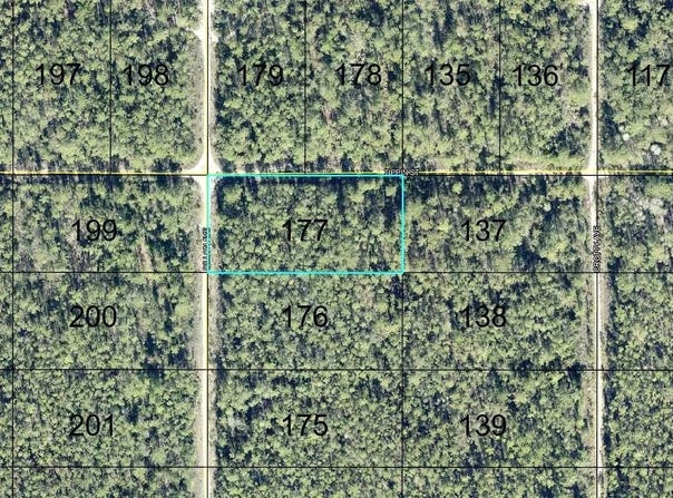 177 DILLION Avenue, HASTINGS, FL 32145