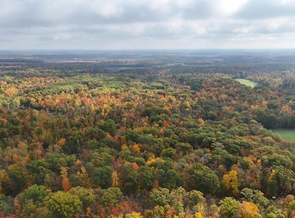 Skyview Street, Brook Park, MN 55007