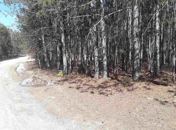 12380 Pine Mesa Drive, Stanwood, MI 49346