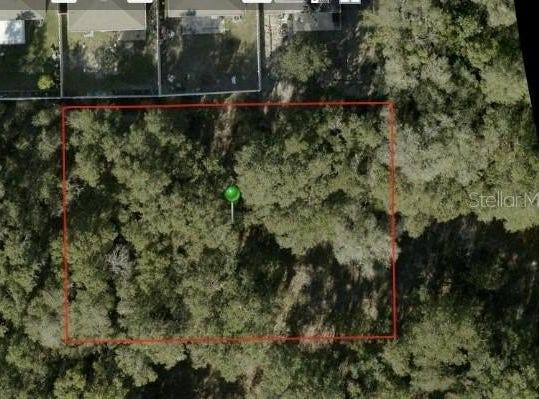 IVY Avenue, DELAND, FL 32724