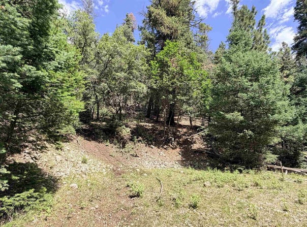 Raspberry Hill Rd, Cloudcroft, NM 88317