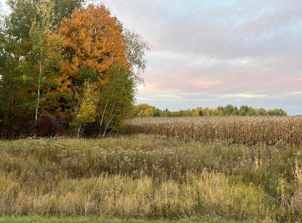 Holly Rd, Pine City, MN 55063