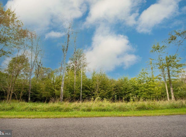 LOWER CAMP Road lot: 94, MCHENRY, MD 21541