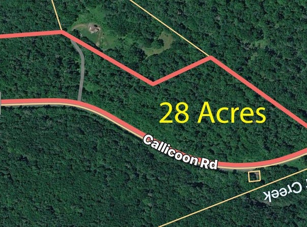 Callicoon Road, Damascus, PA 18415