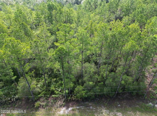 Heritage Circle, Hortense, GA 31543